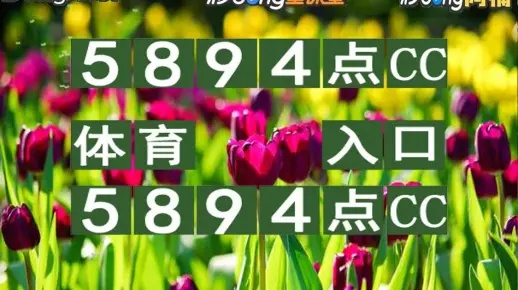 2024澳门特马今晚开奖56期的|未来科技新突破探讨_正式集.5.541
