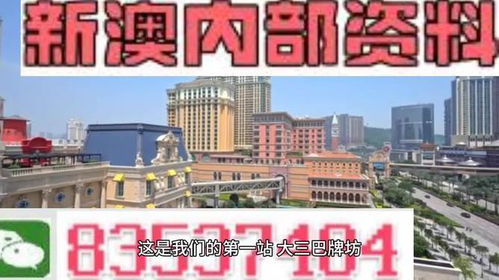 2024新澳门正版资料最新版|解析时代背景下的资料解读_未来版THE.6.524