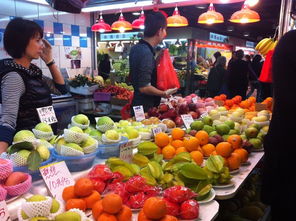 澳门水果奶奶免费资料大全2020|未来科技新突破探讨_S.3.405