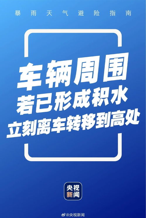 二四六天246天好彩944cc开奖结果|探索新机遇的未来之路_紧凑版.1.681
