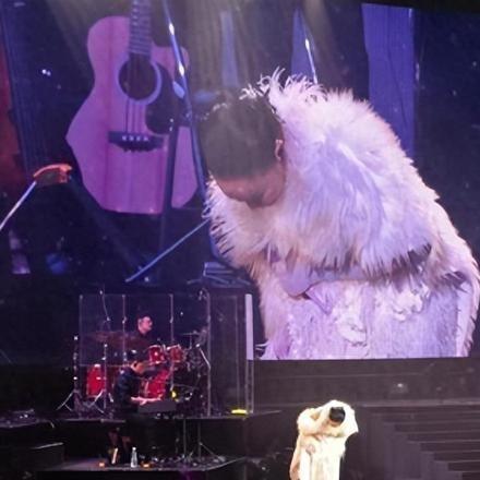 新澳门2024出号走势图|探索未来城市的奇幻之旅_汉化版.7.87